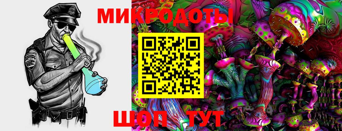Галлюциногенные грибы Cubensis Асино